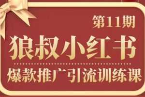 狼叔小红书爆款推广引流训练课第11期，手把手带你玩转小红书