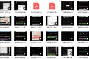 骏哥股市会 股票视频合集 补档