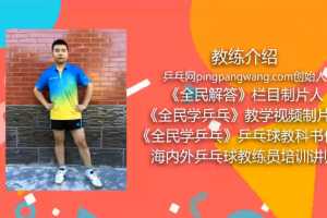 乒乓球球技教学视频137集视频课程