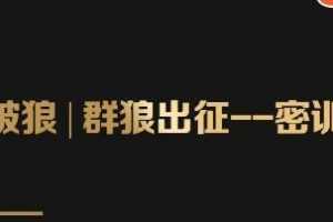 群狼出征密训营第3期：万能引流的底层逻辑公式首度公开解密！——流量爆破必修课