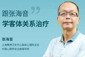跟张海音学客体关系治疗 网络课程10讲高清视频