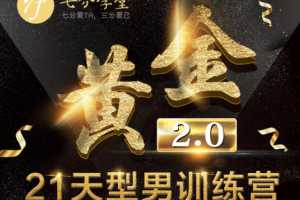 七分学堂《黄金基础课型男21天训练营》【赠送黄金1.0】