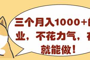 三个月入1000+的副业项目，不花力气，在家就能做！【视频教程】