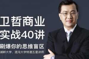 卫哲商业实战40讲，大中小创业者必听课刷爆思维盲区