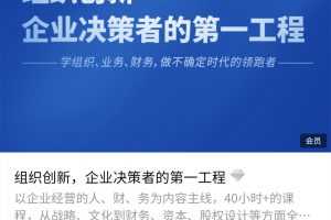 创业酵母–张丽俊《组织创新，企业决策者的第一工程》