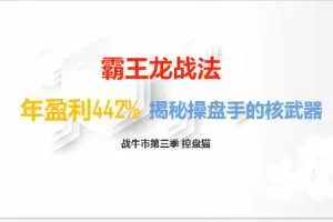 控盘猫2020年战牛市第三季视频课程 霸王龙战法2020