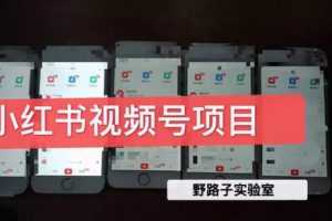 野路子实验室小红书视频号1.0项目，直接上手操作就能赚钱的视频号项目