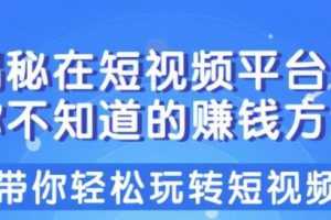 柚子团队课程：揭秘在短视频平台中你不知道的赚钱方法
