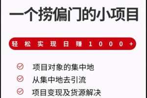 柚子团队课程：一个捞偏门的小项目，轻松实现日赚1000+