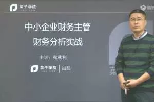 张秋利-中小企业财务主管财务分析实战