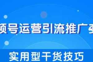 柚子团队内部课程：视频号运营引流推广变现，实用型干货技巧