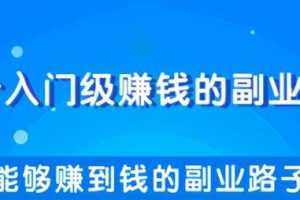柚子团队内部课程：教你一些能够赚到钱的副业路子，每天轻松多赚几十几百元