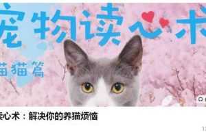 宠物读心术：解决你的养猫烦恼、解决你的养狗烦恼