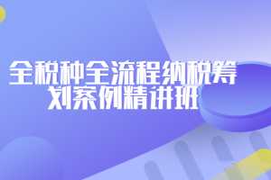 罗伟全税种全流程纳税筹划案例精讲班-专家团（全）