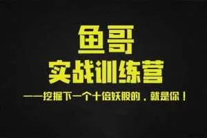 鱼哥实战超短训练营视频+讲义