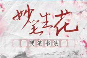 大鹏书法《妙笔生花~硬笔书法课》