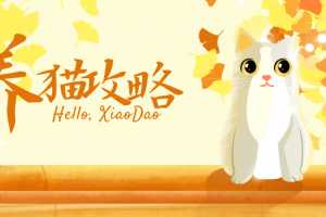 猫咪训练+新手养猫攻略大全，助你成为养猫专家