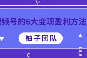 视频号的6大变现盈利方法，每一种做到极致都能年赚100W+【视频课程】