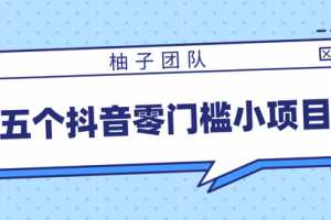 柚子团队五个抖音零门槛赚钱小项目，趁着年前小赚一笔【视频教程】