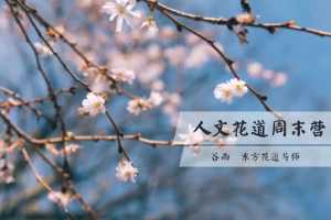 谷雨老师《人文花道美学营》插花教程