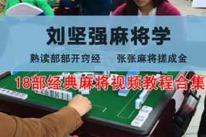 刘强坚麻将学
