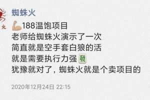 蜘蛛火二手书温饱小项目，新手也可以日赚200+【视频课程】
