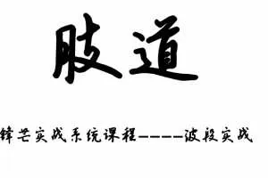 2020年锋芒 爆点系统+波段系统+低吸有道+复盘有道全系列笔记 PDF