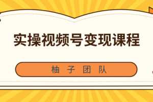 柚子团队内部课程：实操视频号变现课程，助你2021抓住赚钱风口【视频课程】