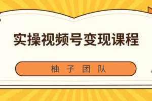 柚子团队内部课程：实操视频号变现课程，助你2021抓住赚钱风口【视频课程】