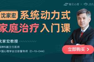 沈家宏·系统动力式家庭治疗入门课