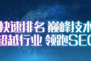 2020逆冬SEO权重站实战特训营