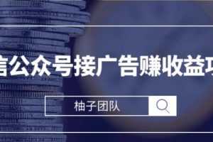 微信公众号接广告赚收益项目，新手零基础也能操作月入万元【视频课程】