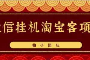 微信挂机做淘宝客项目，自动挂机赚钱，轻松月入5000+【视频教程】