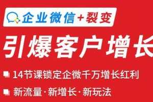 小裂变企业微信裂变增长实战课：企业微信+裂变，搞定企业微信千万增长