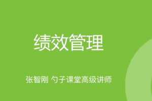 张智刚《绩效诊断箱——未达成绩效如何改进》