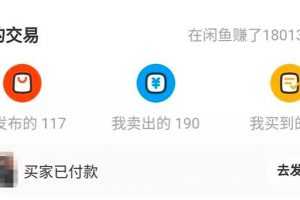 龟课·闲鱼无货源电商课程第19期：操作好一天出几单，赚个几百块