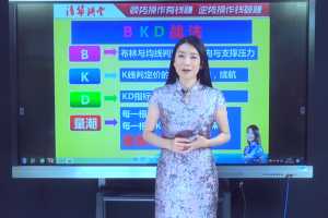 张清华20210129直播课-BKD战法 1视频