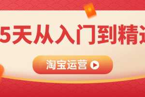 淘宝运营25天从入门到精通