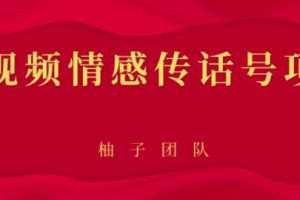 短视频情感传话号项目，细分领域的赚钱门道【视频课程】