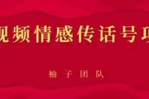 短视频情感传话号项目，细分领域的赚钱门道【视频课程】