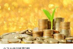 小飞大侠训练营3期