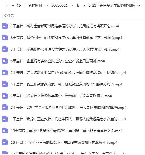 干嘉伟：复盘美团制胜秘籍，千团大战背后的科学运营体系（19节视频课）目录