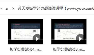 苏天发板学经典战法微课程