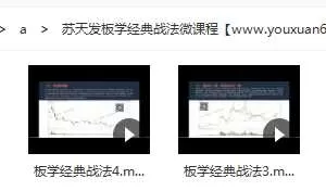 苏天发板学经典战法微课程