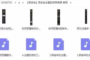 思多金主题投资思维课 音频