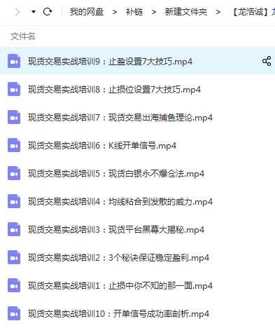 龙浩诚现货交易操作理念10讲 视频目录