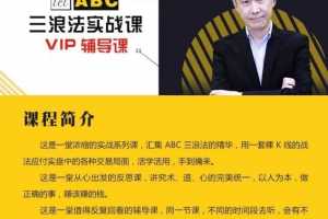 李陈亮abc三浪站法系列课 裸K线技术的终极密码