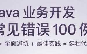 Java业务开发常见错误100例 全面避坑+最佳实践=健壮代码