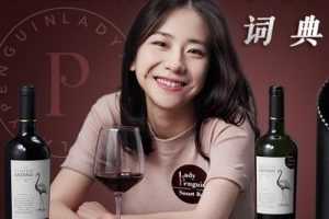 醉鹅娘葡萄酒词典 红酒基础知识大全培训