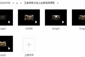 王春禄官方线上全套视频讲座课程